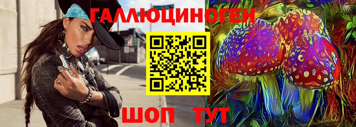 Галлюциногенные грибы Psilocybine cubensis Белогорск
