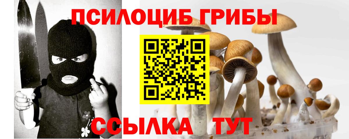 Псилоцибиновые грибы GOLDEN TEACHER  Псилоцибиновые грибы MAGIC MUSHROOMS  Белогорск  Вход с VPN 